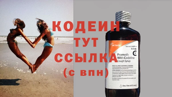 спиды Новозыбков
