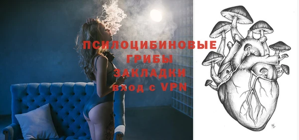 спиды Новозыбков