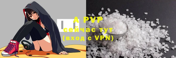 спиды Новозыбков