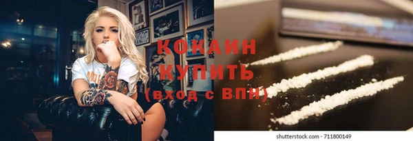 спиды Новозыбков