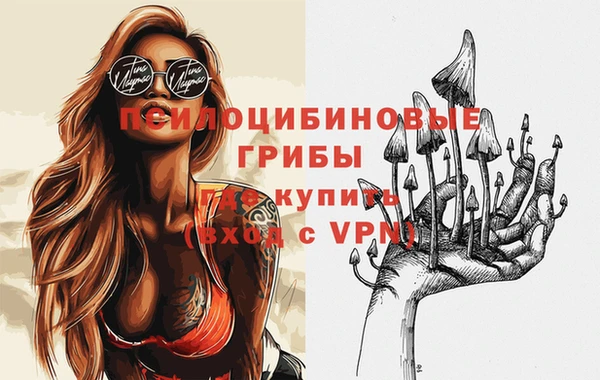 экстази Новодвинск