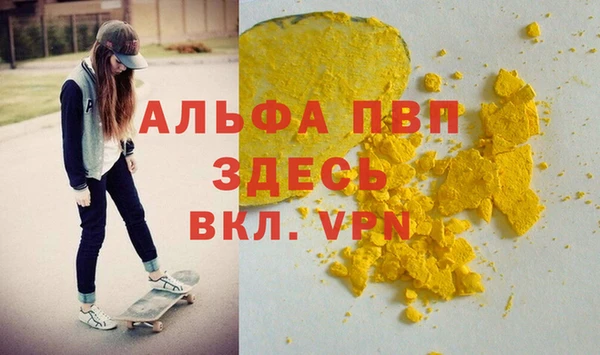 спиды Новозыбков
