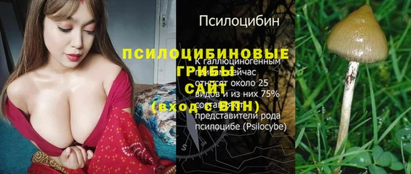 спиды Новозыбков