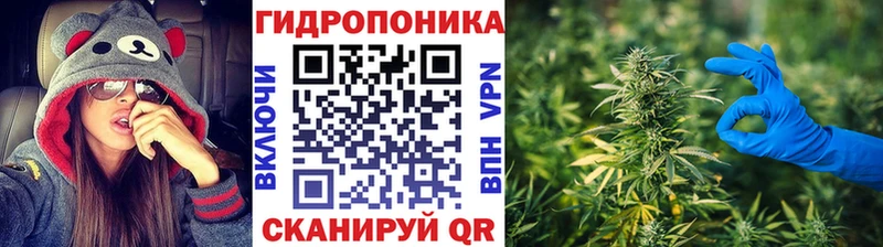 Шишки марихуана THC 21% Приволжск